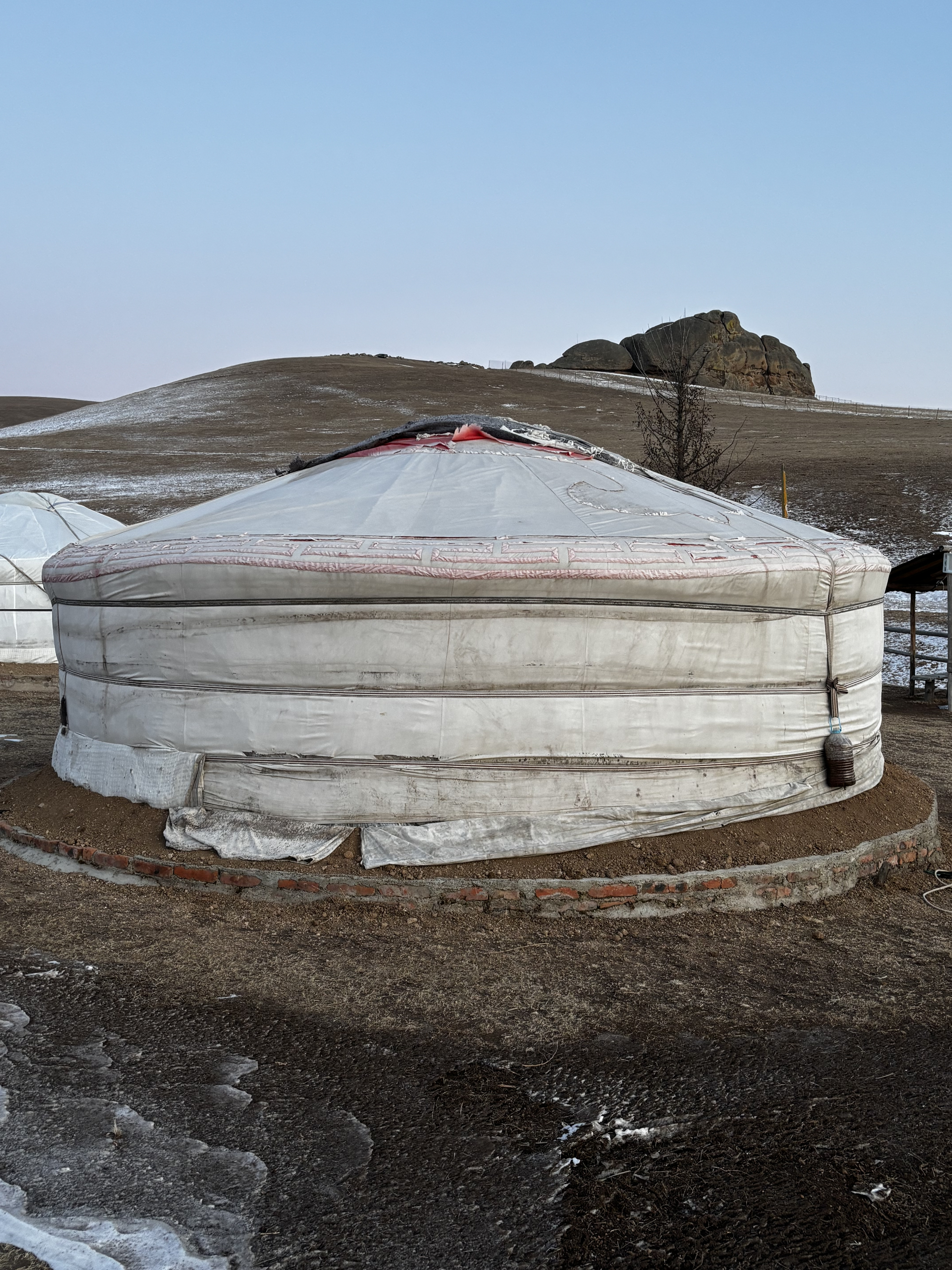 Yurt